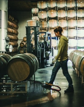 angeline california wines_Barrels_Winemaking